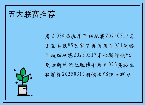 五大联赛推荐